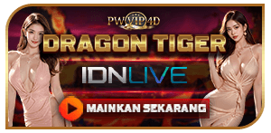 DRAGON TIGER